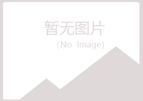 龙泉夏岚材料有限公司